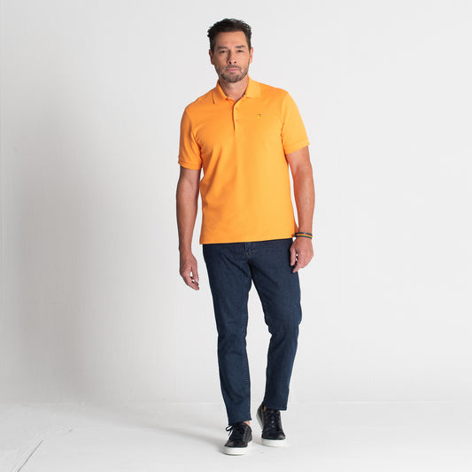 Polo Josias