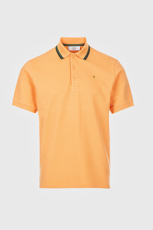 Polo Dante