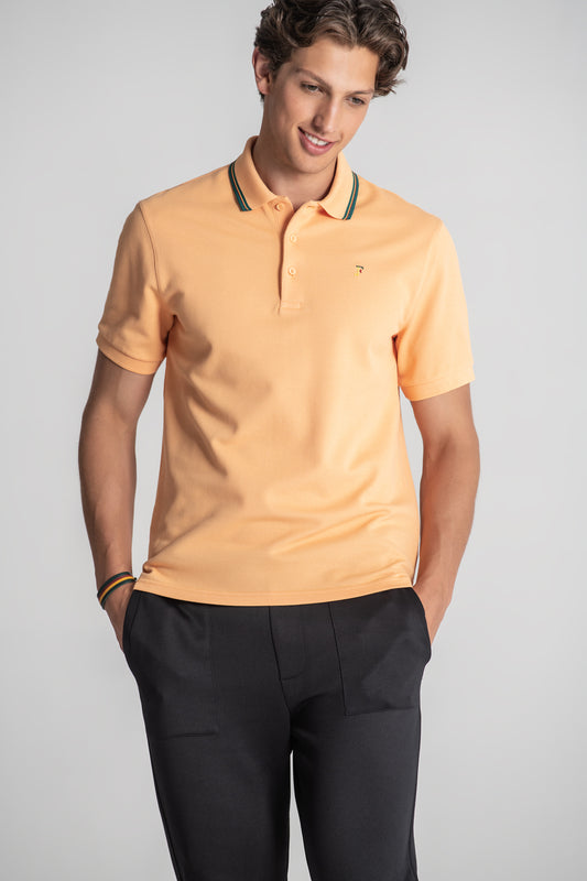 Polo Dante